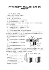 四川省泸州市三上学期校联盟2026届高三上学期11月第一次联考生物试题+答案