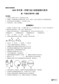 浙江省宁波六校联盟2025-2026学年高一上学期11月期中生物试题含答案