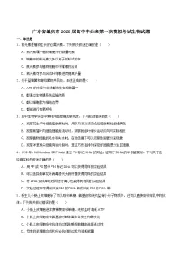 广东省肇庆市2026届高三上学期第一次模拟考试生物试卷（Word版附答案）