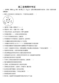 吉林省通化市梅河口市第五中学2025-2026学年高二上学期11月期中考试生物试卷