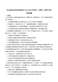 河北省沧州市四校2026届高三上学期11月期中联考生物试题（Word版附答案）