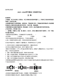 河南省三门峡市2026届高三上学期11月期中考试生物试题（Word版附答案）