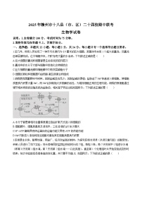 江西省赣州市十八县（市、区）二十四校联考2025-2026学年高三上学期期中考试生物试题（Word版附解析）