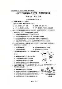 北京市第八中学2025-2026学年高二上学期期中生物试题