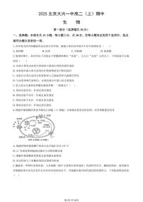 2025北京大兴一中高二（上）期中生物试卷（教师版）
