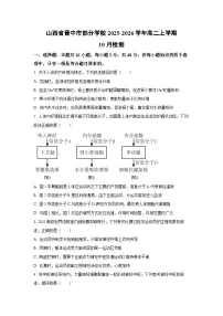 山西省晋中市部分学校2025-2026学年高二上学期10月检测生物试卷（学生版）