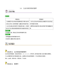 高考生物精品【一轮复习】讲义练习资料合集 (2)