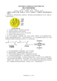 安徽省合肥市普通高中六校联盟2026届高三上学期期中考试生物试卷（PDF版附答案）