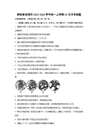 陕西省宝鸡市2025-2026学年高一上学期10月月考生物试卷（学生版）