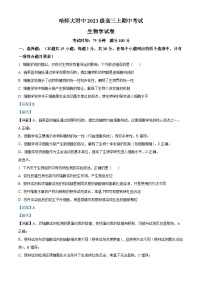 黑龙江省哈尔滨师范大学附属中学2025-2026学年高三上学期11月期中考试生物试卷（Word版附解析）