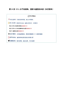 2026届高三生物二轮专题试题解析复习第20讲DNA分子的结构、复制与基因的本质（Word版附解析）