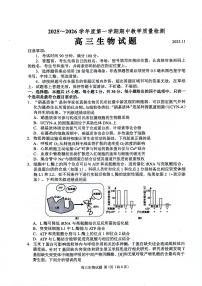 山东省聊城市2025-2026学年度高三年级第一学期期中教学质量检测生物试卷（含答案）
