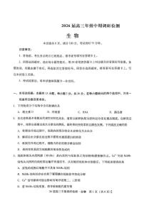 河北省琢名小渔名校联考2026届高三上学期11月期中考试生物试卷（PDF版附解析）