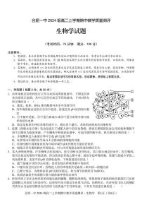 安徽省合肥市第一中学2025-2026学年高二上学期11月期中生物试题