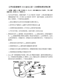 江西省景德镇市2026届高三上学期高考一模生物试卷（含答案）