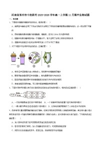 河南省郑州市十校联考2025-2026学年高一上学期11月期中考试生物试卷（含答案）含答案解析