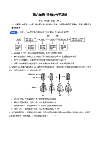 2026届高三生物二轮复习专题6遗传的分子基础试题（Word版附解析）