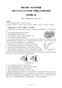 安徽省智学大联考皖中名校联盟（合肥市第八中学）2025-2026学年高二上学期期中考试生物试题A