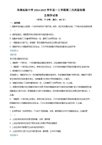 安徽省阜阳市阜南县安徽省阜南实验中学2024-2025学年高一上学期1月期末生物试题（解析版）-A4