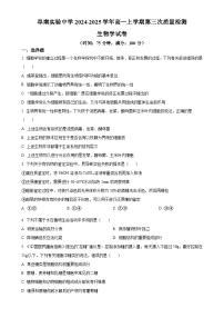 安徽省阜阳市阜南县安徽省阜南实验中学2024-2025学年高一上学期1月期末生物试题（原卷版）-A4