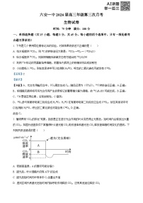 安徽省六安第一中学2025-2026学年高三上学期11月月考试题生物试题（Word版附解析）