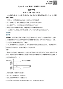 安徽省六安第一中学2025-2026学年高三上学期11月月考试题生物试题（Word版附解析）