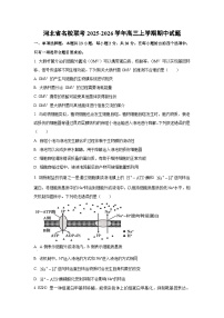 2025-2026学年河北省名校联考高三上学期期中生物试题（学生版）