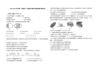 安徽省阜阳市临泉田家炳实验中学2024-2025学年高一上学期1月期末考试生物试题