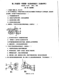 天津市武清区天和城实验中学2025-2026学年高二上学期第一次月考生物试卷