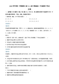 浙江省91高中联盟2025-2026学年高一上学期11月期中考试生物试题（Word版附解析）