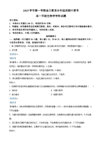 浙江省金兰教育合作组织2025-2026学年高一上学期期中考试生物试题（Word版附解析）