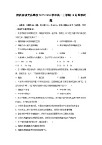 陕西省镇安县某校2025-2026学年高一上学期11月期中生物试卷（学生版）
