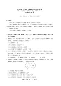 山西省（T8联考）2025年秋季高一年级11月份期中调研检测生物试卷（附参考答案）