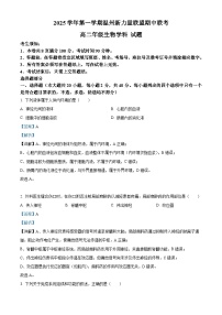 浙江省温州市新力量联盟2025-2026学年高二上学期11月期中考试生物试卷（Word版附解析）