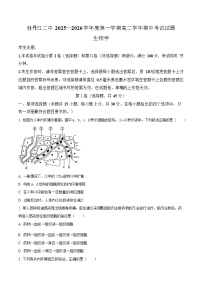 黑龙江省牡丹江市2025-2026学年高二上学期11月期中考试生物试卷