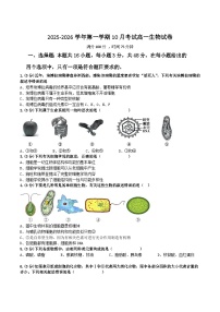 山西省晋中市部分学校2025-2026学年高一上学期10月检测生物试卷（Word版附解析）