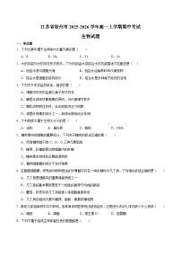 江苏省徐州市2025-2026学年高一上学期期中考试 生物试卷（含答案）