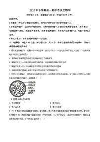 湖南省多校联考2025-2026学年高一上学期11月期中考试生物试题（Word版附解析）