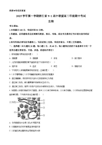 浙江省91联盟2025-2026学年高二上学期11月期中生物试题（Word版附解析）