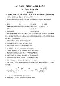 浙江省G5联盟2025-2026学年高二上学期11月期中考试生物试题（Word版附解析）