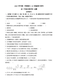浙江省G5联盟2025-2026学年高二上学期11月期中考试生物试题（Word版附解析）
