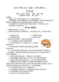 四川省遂宁市射洪中学2025-2026学年高二上学期11月期中考试生物试卷