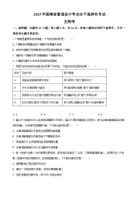 2025年高考湖南卷生物高考真题解析（原卷版＋解析版）