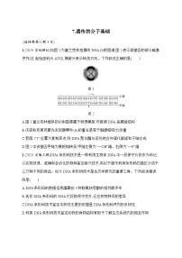 2026届高三生物二轮复习试题知识对点小题练7.遗传的分子基础（Word版附解析）