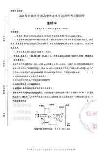 高考押题预测卷 2025河南专版 生物学