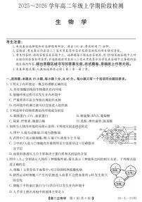 安徽省江淮名校2025-2026学年高二上学期阶段联考生物试卷（含答案）