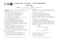 安徽省A10联盟宿州十三校2024级高二上学期11月期中质量检测【生物试卷】（A卷）（含答案）