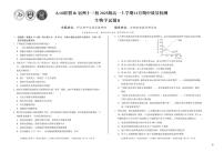 安徽省A10联盟宿州十三校2025级高一上学期11月期中质量检测【生物试卷】（B卷）（含答案）