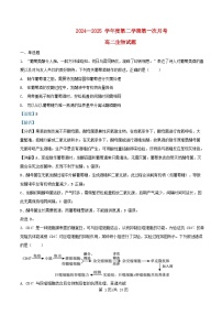 安徽省安庆市2024_2025学年高二生物下学期第一次月考试题含解析
