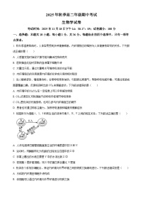 湖北省鄂东南省级示范高中教育教学改革联盟2025-2026学年高二上学期期中考试生物试卷（Word版附解析）